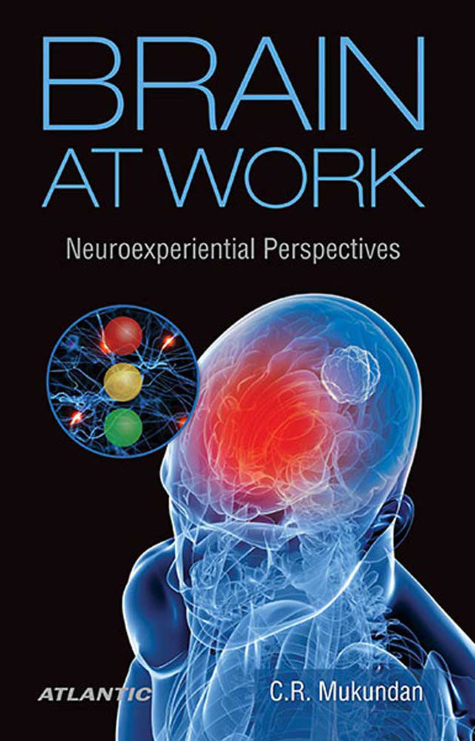 Brain At Work: Neuroexperiential Perspectives
