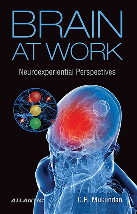 Brain At Work: Neuroexperiential Perspectives