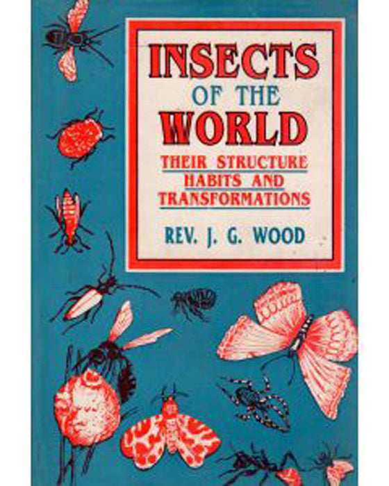 Insects Of The World: Their Sturcture Habits and Transformations (Vol. 2)